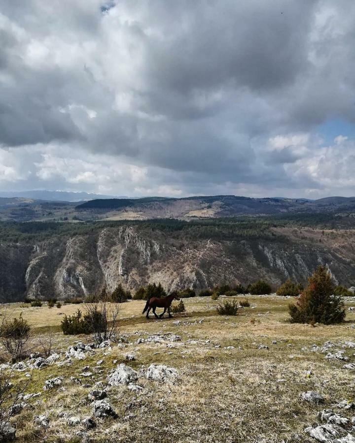 Hotel Etno Domacinstvo Saponjic Nova Varoš Exterior foto