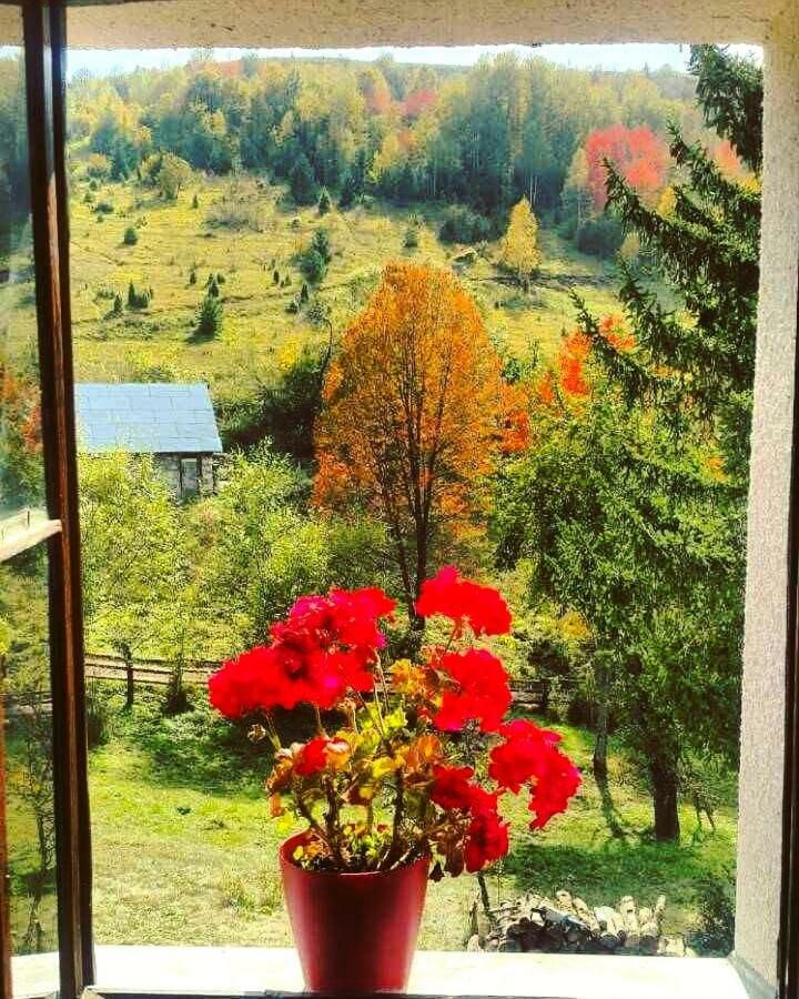 Hotel Etno Domacinstvo Saponjic Nova Varoš Exterior foto